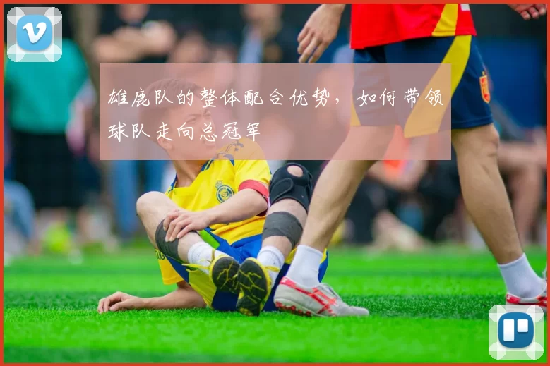 雄鹿队的整体配合优势，如何带领球队走向总冠军