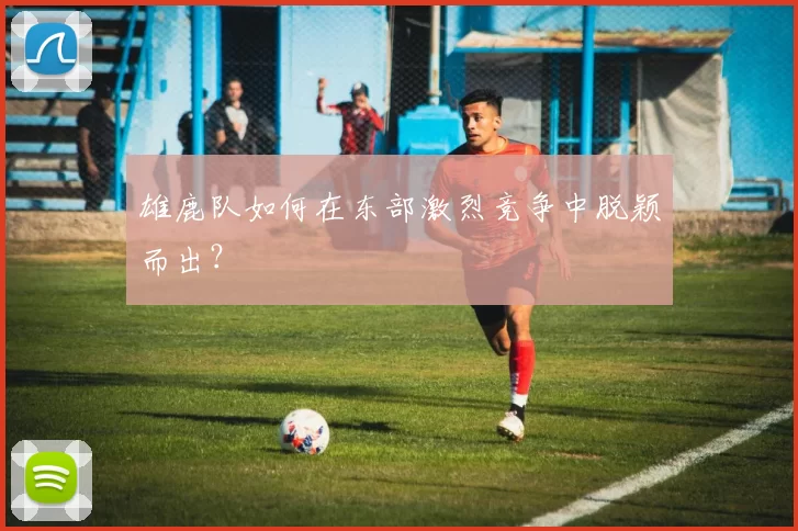 雄鹿队如何在东部激烈竞争中脱颖而出？