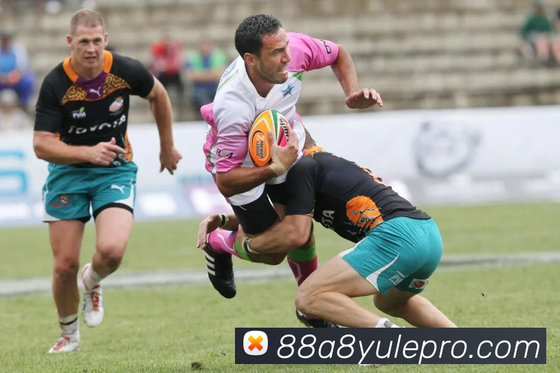 88A8娱乐专业全站App